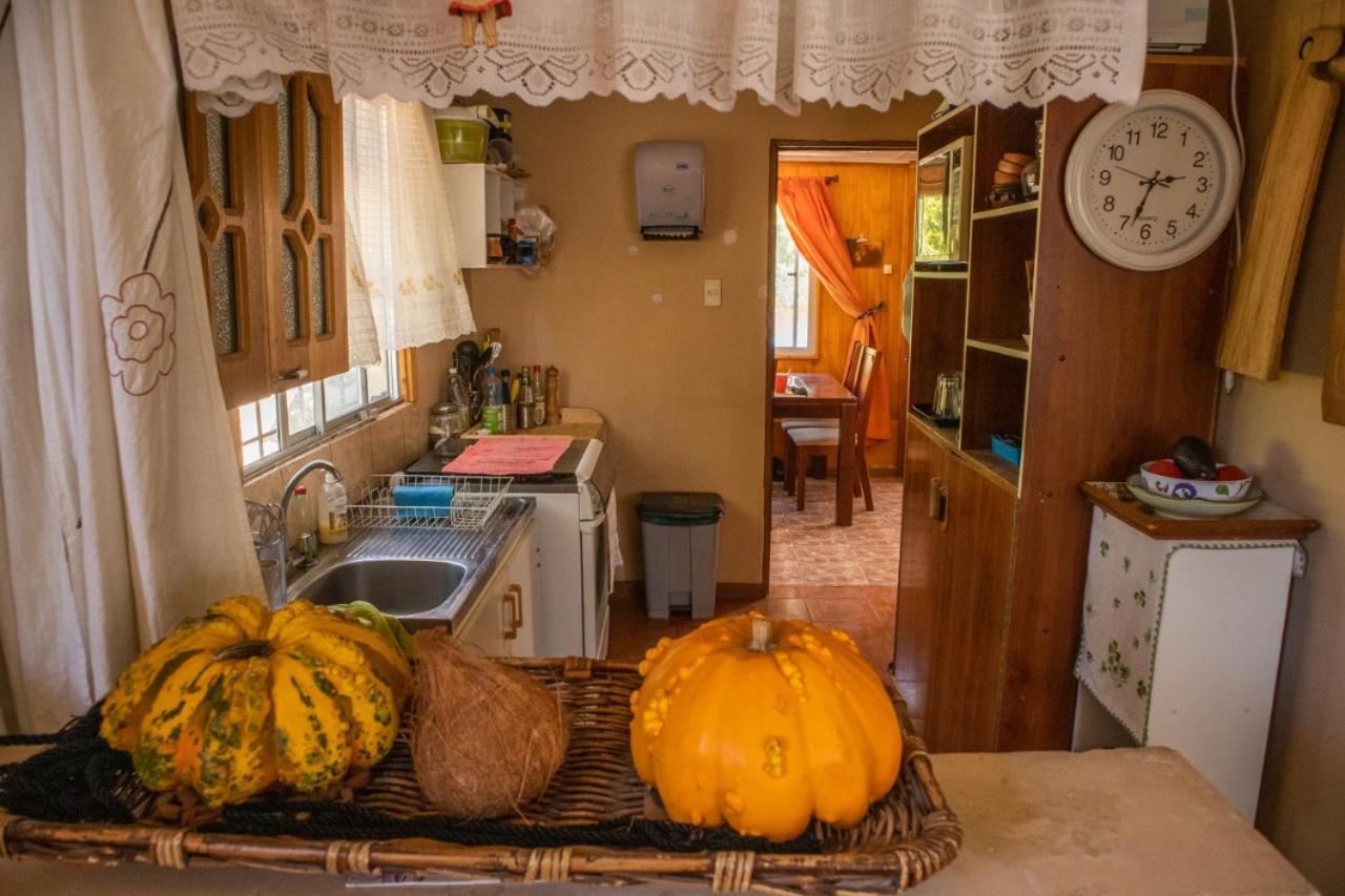 La Huerta Apartment Vicuña Екстериор снимка